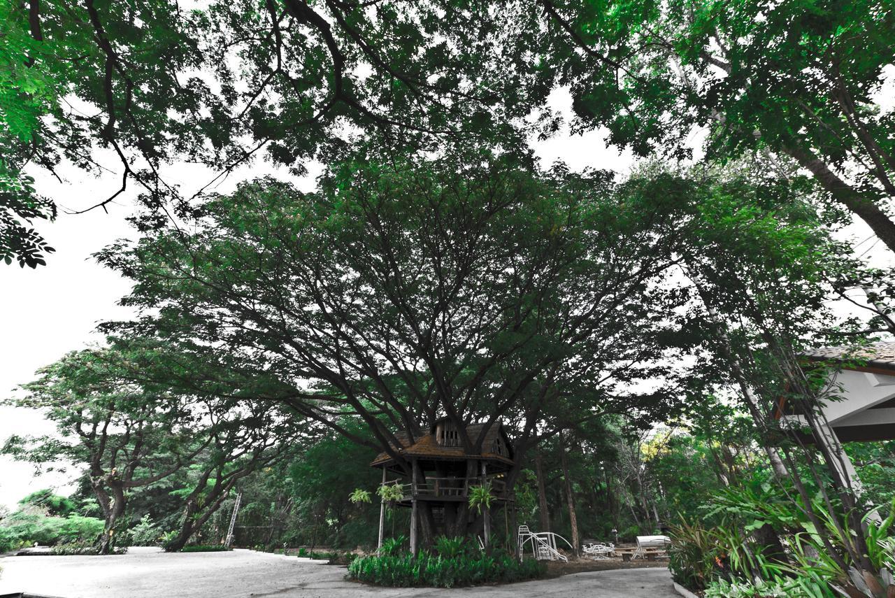 Tree House Hotel Sisaket Exterior photo